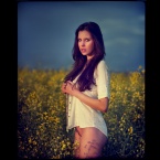 Sunlight